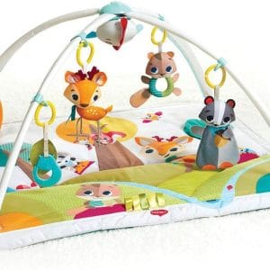 Tiny Love Gymini Deluxe Babygym