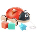 Hape Dragleksaker - Nyckelpiga m. Klossar