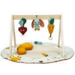 Tiny Love Babygym - Luxe Gymini - Garden Äventyr