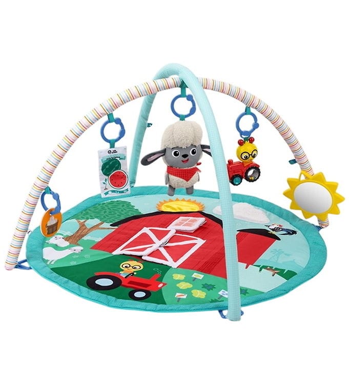 Baby Einstein Babygym - Happy Skörd