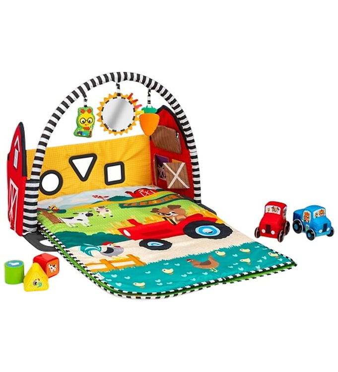 Baby Einstein Babygym - Livlig ladugård