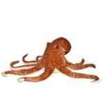 Cuddlekins Jumbo Octopus Gosedjur 74 cm Wild Republic