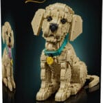 LEGO® Icons Golden retriever-valp 11384 - LEGO - Leksaksaffären